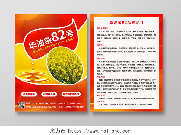 红色清新简约油菜油种子宣传单